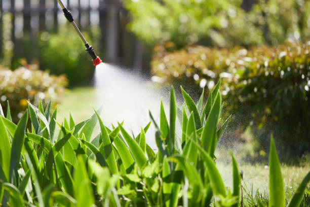 24/7 Emergency Mosquito Control experts in Willow Springs, IL