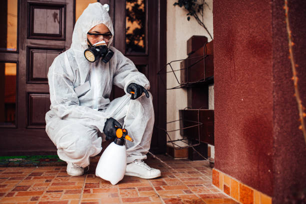 Reliable Mosquito Control contractor in Willow Springs, IL by Show Me Pest Control